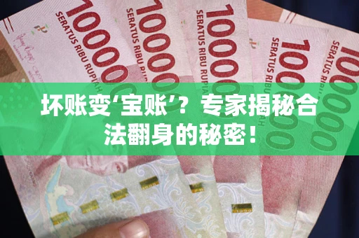 武汉坏账变‘宝账’？专家揭秘合法翻身的秘密！