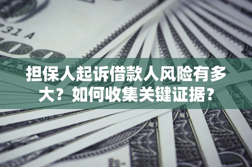 武汉担保人起诉借款人风险有多大？如何收集关键证据？