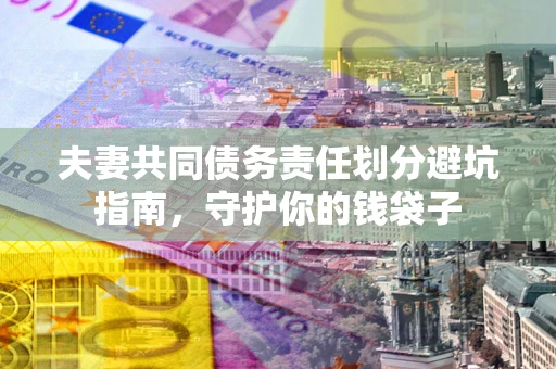 武汉夫妻共同债务责任划分避坑指南，守护你的钱袋子