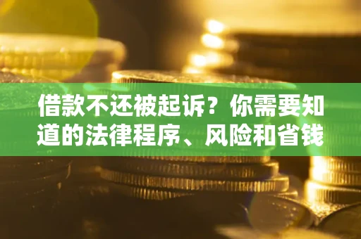 武汉借款不还被起诉？你需要知道的法律程序、风险和省钱技巧